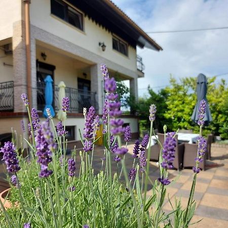 Apartman Nada Ozaly Kültér fotó